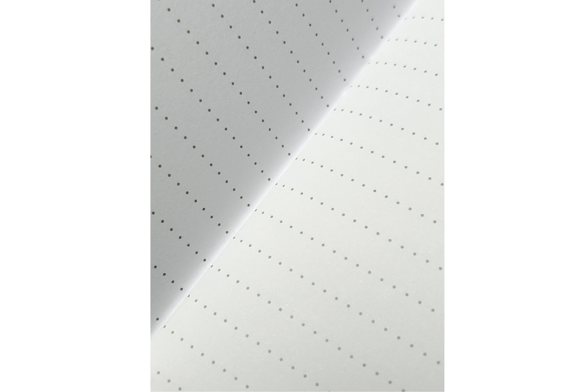 Stationery Set - Periquito Barbinaranja