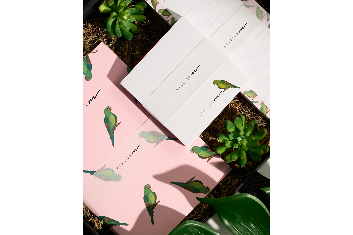 Stationery Set - Periquito Barbinaranja