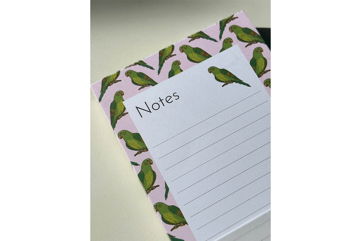 Stationery Set - Periquito Barbinaranja