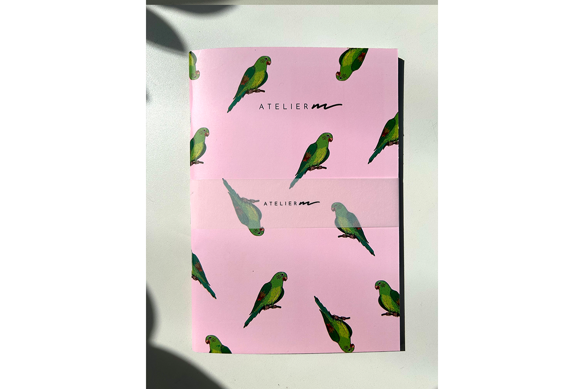 Stationery Set - Periquito Barbinaranja