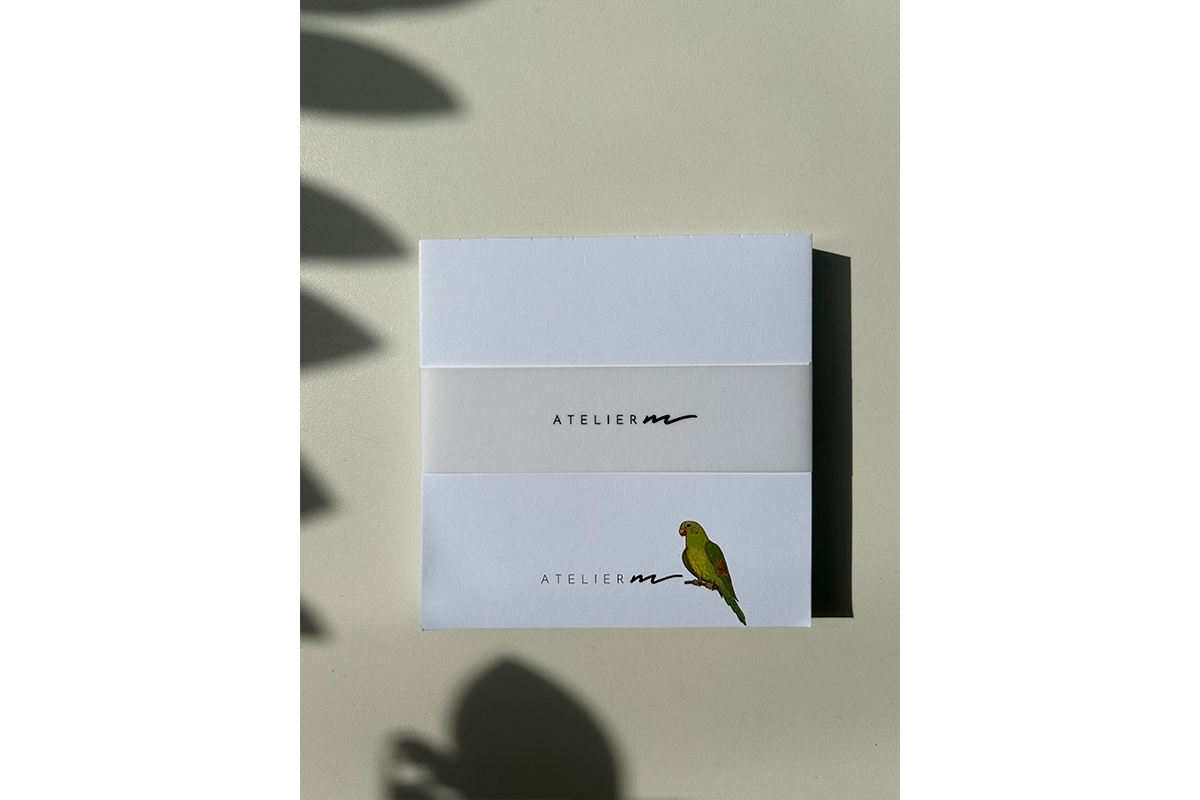 Stationery Set - Periquito Barbinaranja