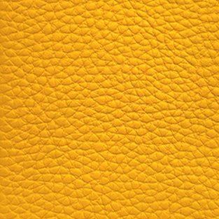 Sunny_Yellow